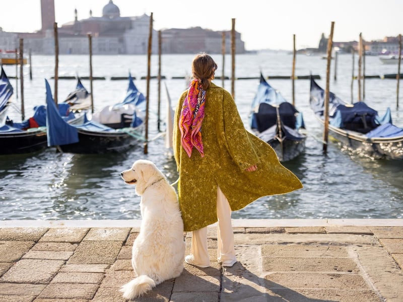 Italy is the best place in the world for dogs - rating particularly highly for the large number of dog-friendly hotels.