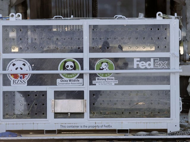 Yang Guang, the male panda is second off the plane, before being loaded into the Fedex van.