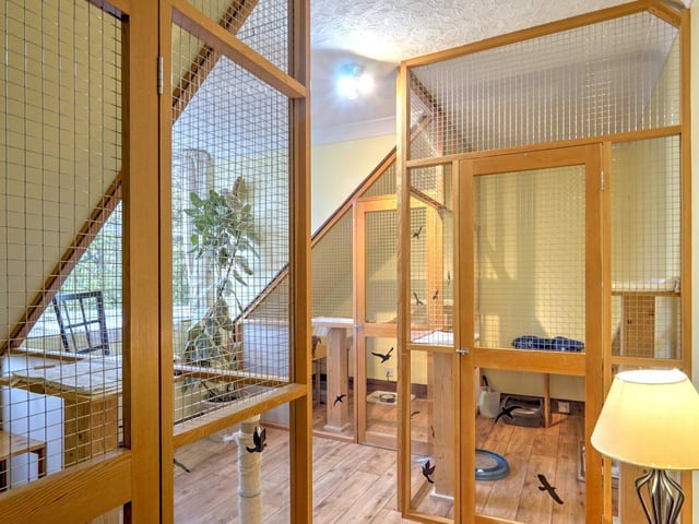 The current owners have turned two of the bedrooms into a cat hotel style cattery. If new owners do not want to continue this business, these rooms can be turned back into bedrooms..