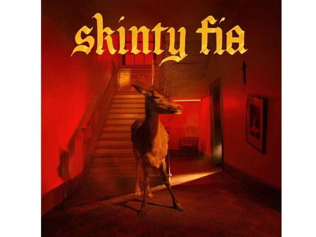 Irish rock band Fontaines DC's third album 'Skinty Fia' was named after an old Irish saying that loosely translates as "the damnation of the deer". It hit the top spot on both sides of the Irish Sea and ranked eighth in the biggest vinyl sellers of the year.