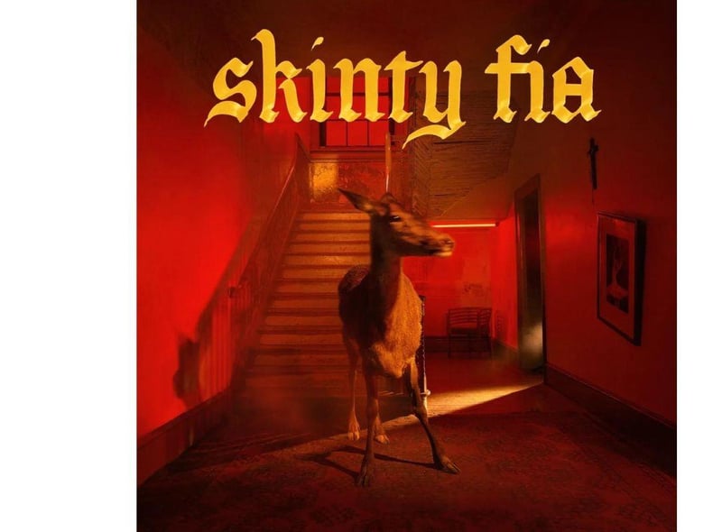 Irish rock band Fontaines DC's third album 'Skinty Fia' was named after an old Irish saying that loosely translates as "the damnation of the deer". It hit the top spot on both sides of the Irish Sea and ranked eighth in the biggest vinyl sellers of the year.