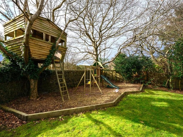 Treehouse and play area.