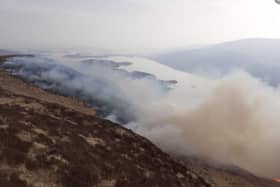 A wildfire on Ben Lomond 