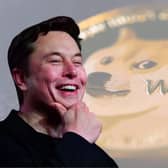 Dogecoin price spikes after Elon Musk's Tesla crypto news - latest Dogecoin price today and price prediction (Image credit: AFP via Getty Images/Pexels)