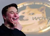 Dogecoin price spikes after Elon Musk's Tesla crypto news - latest Dogecoin price today and price prediction (Image credit: AFP via Getty Images/Pexels)