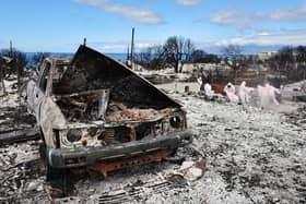 Christian Aid found the highest per capita cost of natural disasters were the wildfires which affected Hawaii in August. Picture: Getty Images