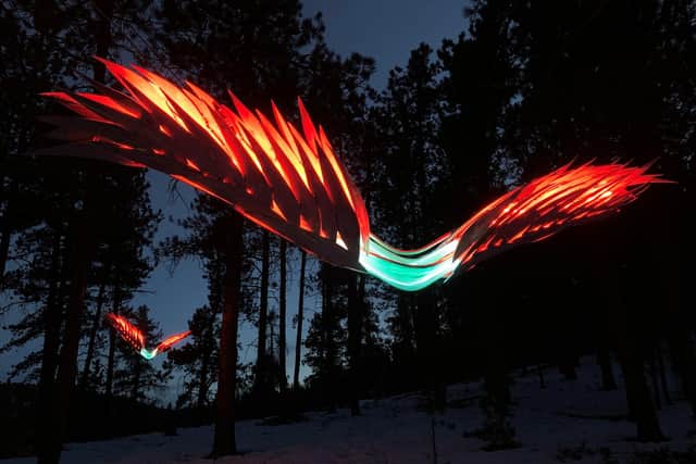 Night Birds soar above, spreading their neon-lit wings across the dark winter sky.
