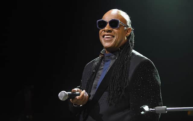 Stevie Wonder performs onstage in January 2017 (Photo: Emma McIntyre/Getty Images for The Art of Elysium)