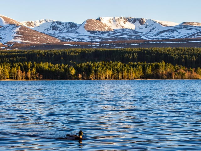 The two hour walk around Loch Morlich is one of the most beautiful - and accessible - in the Cairngorm National Park. The reflection of the Cairngorm Mountains in the Highland waters is only improved by a dusting of snow.