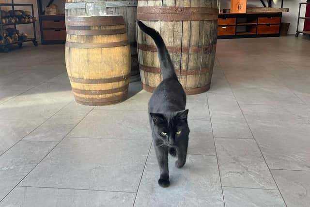 Friar John Claw Pic: Lindores Abbey Distillery