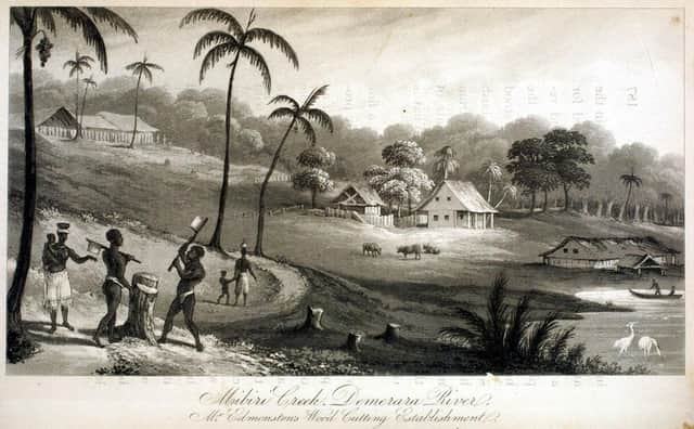 The Mibiri Creek plantation in Demerara, on the north coast of South America - now part of Guyana - which was owned by Charles Edmonstone of Argyll.