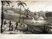 The Mibiri Creek plantation in Demerara, on the north coast of South America - now part of Guyana - which was owned by Charles Edmonstone of Argyll.