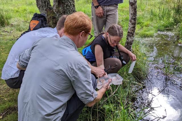 Members of HARP working together to translocate great crested newts on South Clunes Farm (pic: Danny O'Brien)
