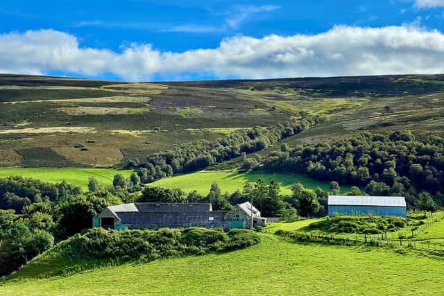 Locals fear the 22-turbine Clashindarroch Wind Farm Extension and battery storage facility, due to be built on Cabrach Estate in Moray, could damage the environment and threaten plans to regenerate the historically important community