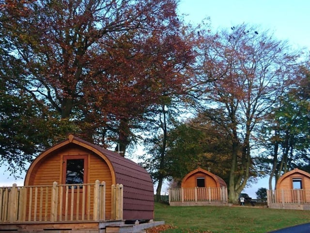 Located two miles away from historic Glamis Castle and the town of KIrriemuir, the glamping pods at Drumshademuir Caravan & Camping Park are pet-friendly and feature a fridge, kettle, microwave, TV and a heater. Guest have access to a children's playground and an on-site bar and restaurant.