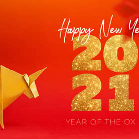 Chinese New Year 2021, Year of the Ox