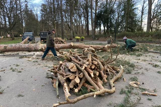 Staff at Blair Drummond have been clearing fallen trees in the aftermath of the storm. Picture: Blair Drummond Safari Park