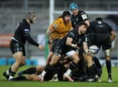 Ali Price of Glasgow Warriors passes the ball during the Heineken Champions Cup Pool B match between Exeter Chiefs and Glasgow Warriors at Sandy Park on December 13, 2020 in Exeter, England. (Photo by David Rogers/Getty Images)
