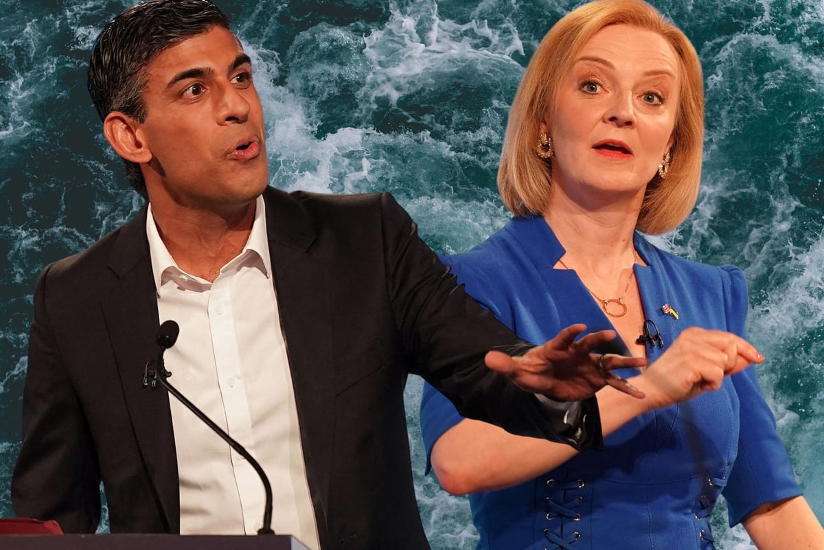 Tory leadership: Liz Truss and Rishi Sunaks climate change views and voting records