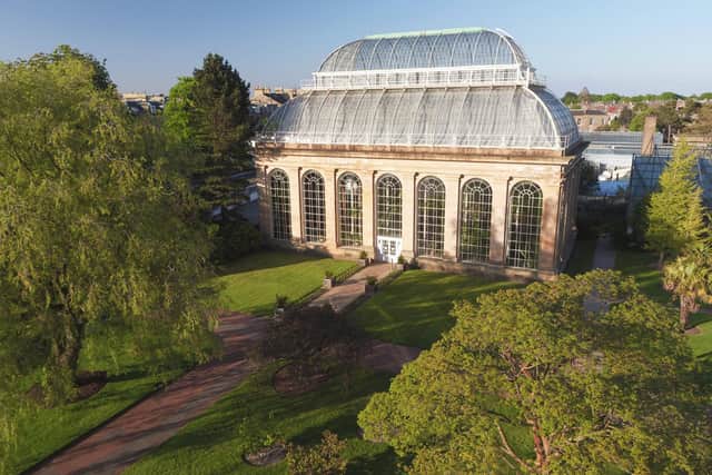 Researchers and volunteers at the Royal Botanic Garden Edinburgh have been monitoring more than 150 plant species to help understand how climate change is affecting their life cycles and ability to survive. Picture: RBGE