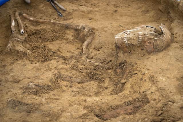 An articulated skull and arm discovered at Mont-Saint-Jean.