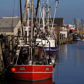 Fishing boats at the quay at the CuxPort North Sea port. Picture: Patrik Stollarz/AFP via Getty Images