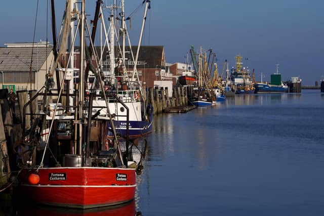 Fishing boats at the quay at the CuxPort North Sea port. Picture: Patrik Stollarz/AFP via Getty Images