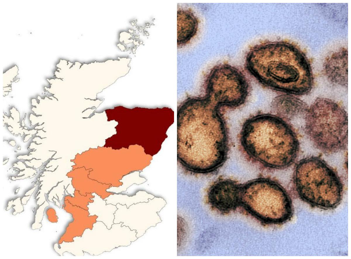 Coronavirus in Scotland map Here are all the confirmed cases so far