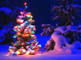 People traditionally take down Christmas decor on the 5th or 6th of January depending on which Christian calendar they follow.