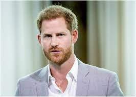 He claims it took place in a field behind a “very busy pub” and that the woman treated him like a “young stallion”, the Daily Mail said.
The Duke wrote: “I mounted her quickly, after which she spanked my ass and sent me away.