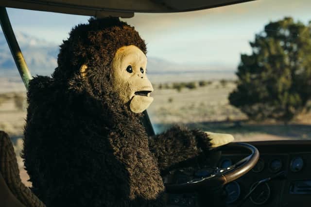 Nina Conti stars in Sunlight, a road trip comedy following a woman in a giant monkey costume and a suicidal radio host as they attempt to forge new lives.