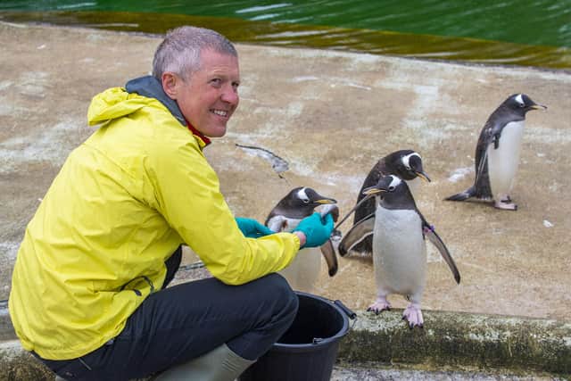 Willie Rennie, pictured with four penguins, won four votes in the FM election.