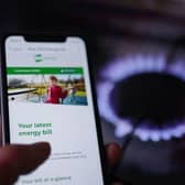 MoneySavingExpert’s Martin Lewis has joined calls for the Government to urgently consider halting plans to raise energy bills in April, saying any decision cannot wait until the spring Budget.