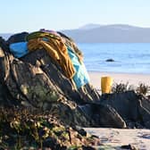 Rachel Hazell swimming off the coast of Iona PIC: Hannah Nunn