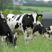 Scotland’s largest dairy said it does not include a new additive marketed to reduce methane from cattle in its products 