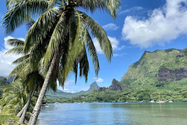 Moorea view (Picture: Steven Robertson)