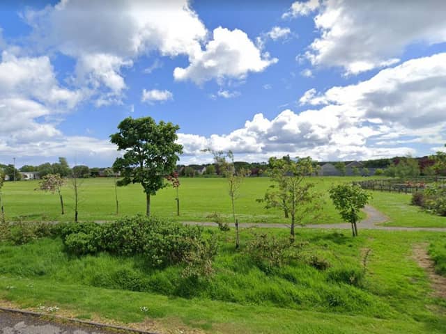 Mackie Academy Rugby Football Club is looking to take ownership of Forest Park.