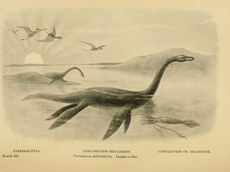 Did you know that the world famous Loch Ness Monster has a so-called “cousin”? Described similarly in appearance to Nessie, the fellow cryptid is named Morag. Morag lives in Loch Morar (70 miles from Loch Ness) which is the deepest lake in the British Isles with a maximum depth of 310m. In 1969, two fishermen claimed they struck Morag on their speedboat, prompting her to retaliate. The pair described a “brown creature, 25 - 30ft long, with rough skin, and a head being held about 20 inches above the water.” The Loch Ness Investigation Bureau expanded their search to include Morag in the 1970s.