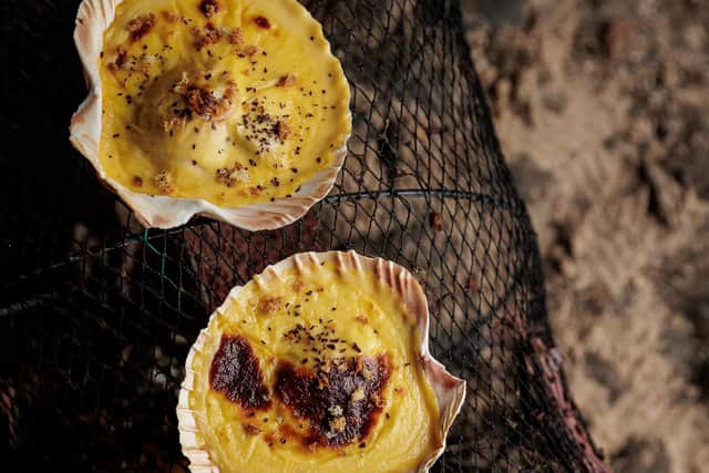 Westray scallops in Okrney Cheddar sauce Pic: Laurence Winram