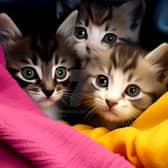 A warm blanket to curl up in can make a huge difference.​