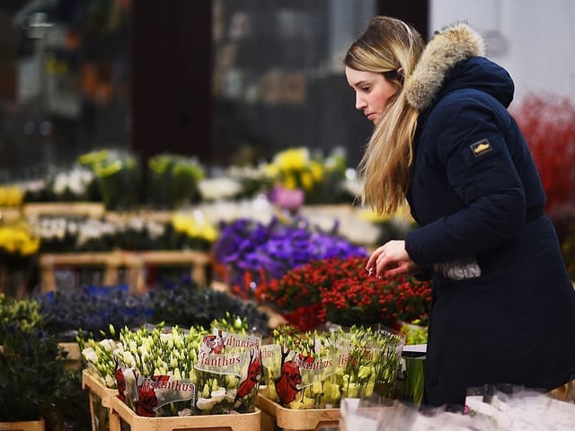 Preparing for the last minute rush on Valentine's Day 2015 at Glasgow's Johnston and Scott flower merchants.