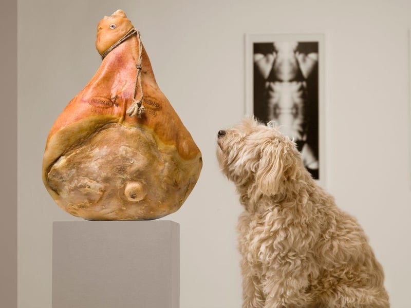Have fun exploring and discovering something new about the world with your furry friend by your side! Dogs are welcome in most museums in the UK. Some museums even have special events for dogs and their owners. For a glimpse into rural Welsh life over the centuries visit St Fagan’s, Cardiff. To celebrate all things engineering, head to the Brunel Museum in London. Ever fancied learning more about the pencil? The Pencil Museum in Keswick, Cumbria provides a genuinely engaging experience all about how the pencil was made.
