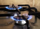 The Liberal Democrats want an energy furlough system to be introduced