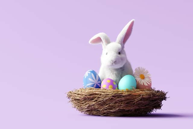 Kicking off the celebration on Saturday, April 19, the hotel’s exclusive boutique cinema will host a Peter Rabbit screening at 11am, promising to bring a touch of whimsy to the weekend and all the magic of Beatrix Potter’s beloved character.