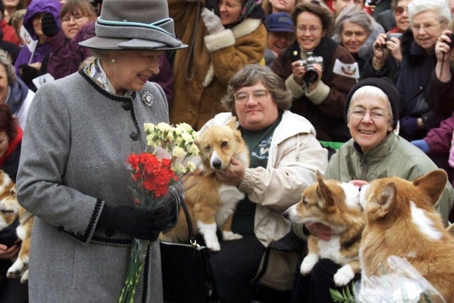 At the end of her reign the Queen owned two Corgis - called Muick and Sandy.