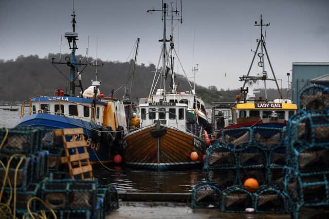 It comes after one creel fisherman told The Scotsman he is being “driven into poverty” alongside other fishermen as a result of the 11-week targeted cod ban – prohibiting all fishing activity where cod can spawn. Photo by Jeff J Mitchell/Getty