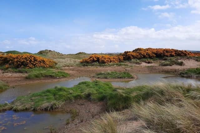 Sand scrapes at St Andrews Links are part of what has been hailed as "outstanding work in driving sustainability and climate action". Picture: St Andrews Links Trust