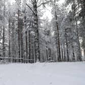 Laura Waddell has been told to expect temperatures as low as minus 20 on her writer's retreat in Finland (Picture: Steve Parsons/PA)