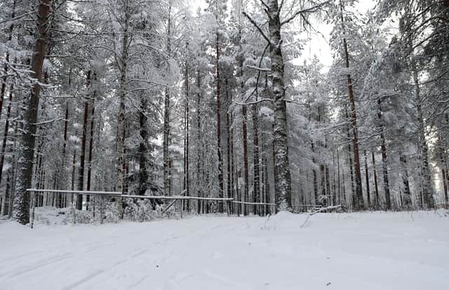 Laura Waddell has been told to expect temperatures as low as minus 20 on her writer's retreat in Finland (Picture: Steve Parsons/PA)