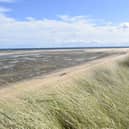 Sand dunes of Coul Links by Bea Ayling